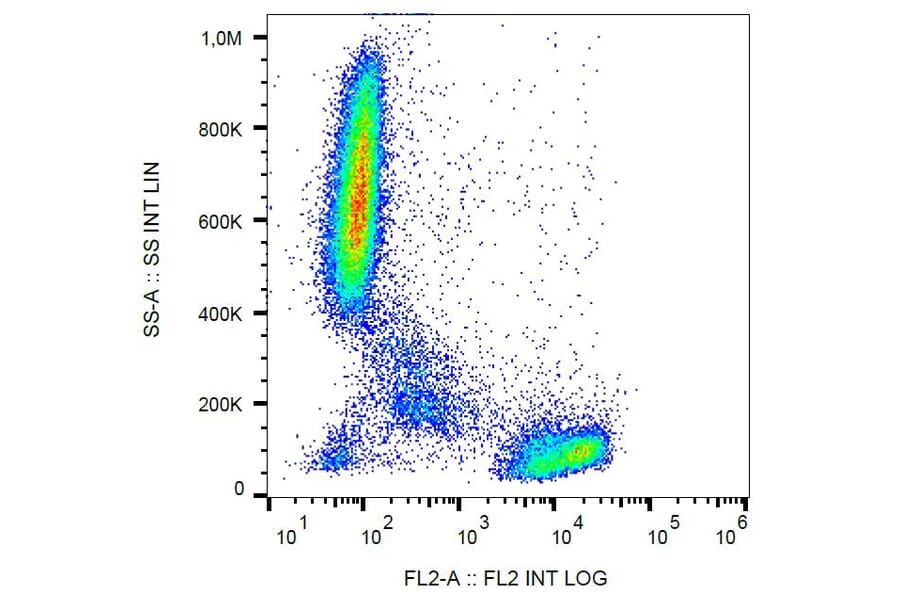 Flow Cytometry - Anti-CD2 Antibody [TS1/8] (PE) (A86421) - Antibodies.com