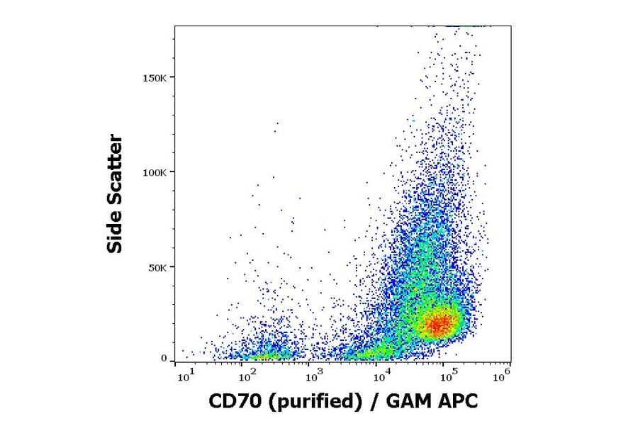 Flow Cytometry - Anti-CD70 Antibody [Ki-24] (A86424)