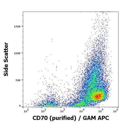 Flow Cytometry - Anti-CD70 Antibody [Ki-24] (A86424)