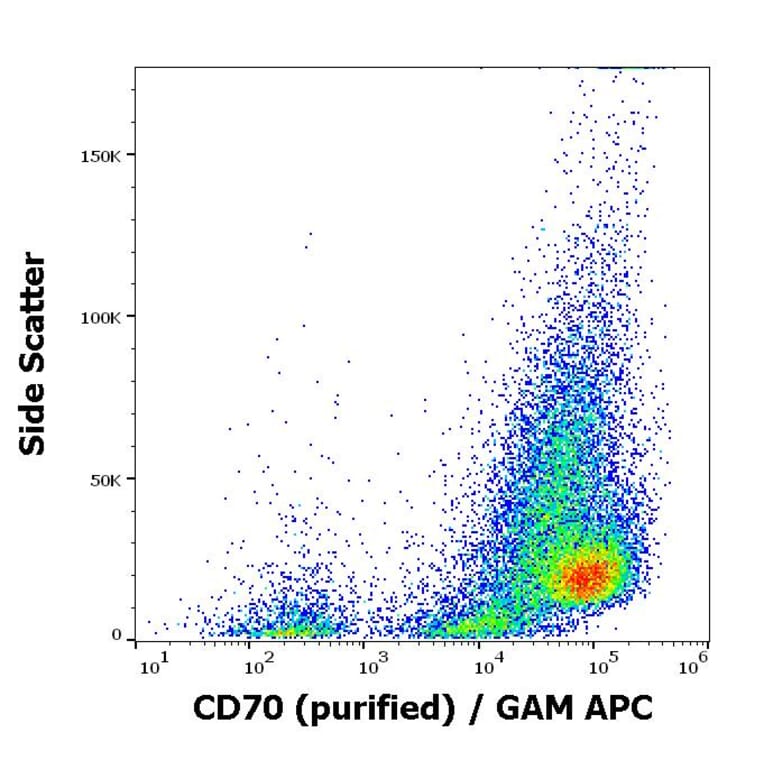 Flow Cytometry - Anti-CD70 Antibody [Ki-24] (A86424)