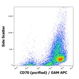 Flow Cytometry - Anti-CD70 Antibody [Ki-24] (A86424)