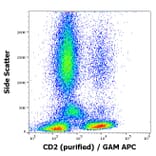 Flow Cytometry - Anti-CD2 Antibody [TS1/8] (A86427)