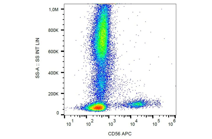Flow cytometry - Anti-NCAM1 Antibody [LT56] (APC) (A86431)