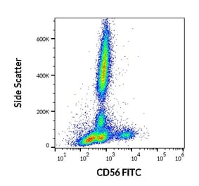 Flow Cytometry - Anti-NCAM1 Antibody [LT56] (FITC) (A86432)