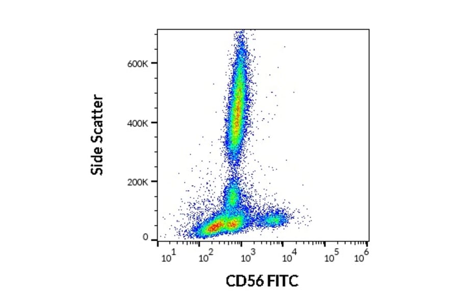 Flow Cytometry - Anti-NCAM1 Antibody [LT56] (FITC) (A86432)