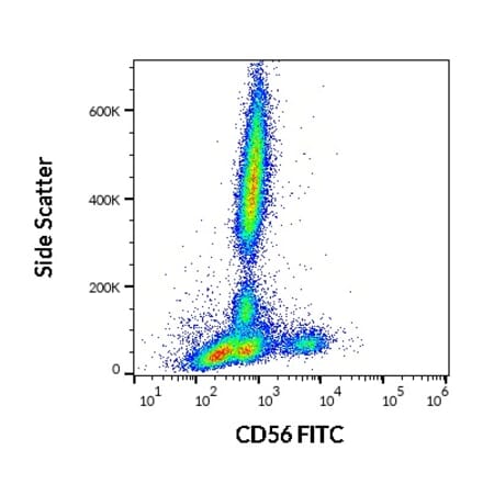 Flow Cytometry - Anti-NCAM1 Antibody [LT56] (FITC) (A86432)