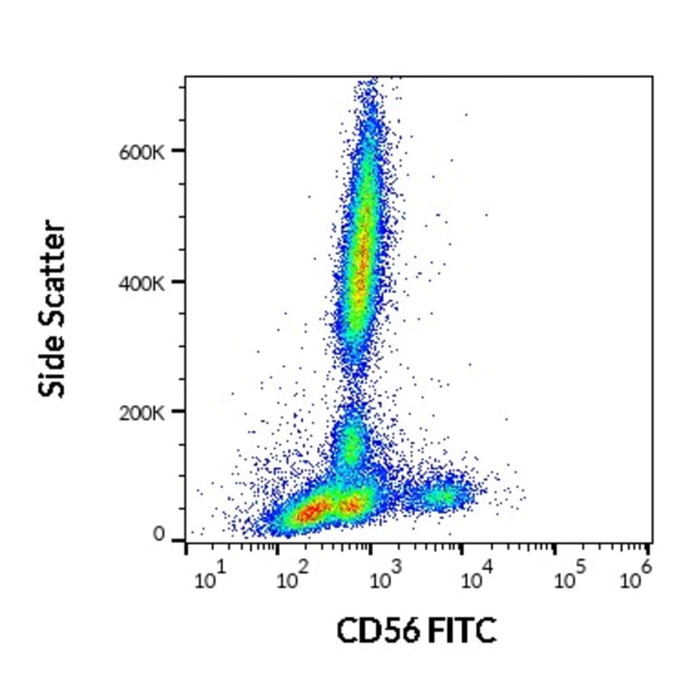 Flow Cytometry - Anti-NCAM1 Antibody [LT56] (FITC) (A86432)