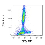 Flow Cytometry - Anti-NCAM1 Antibody [LT56] (FITC) (A86432)