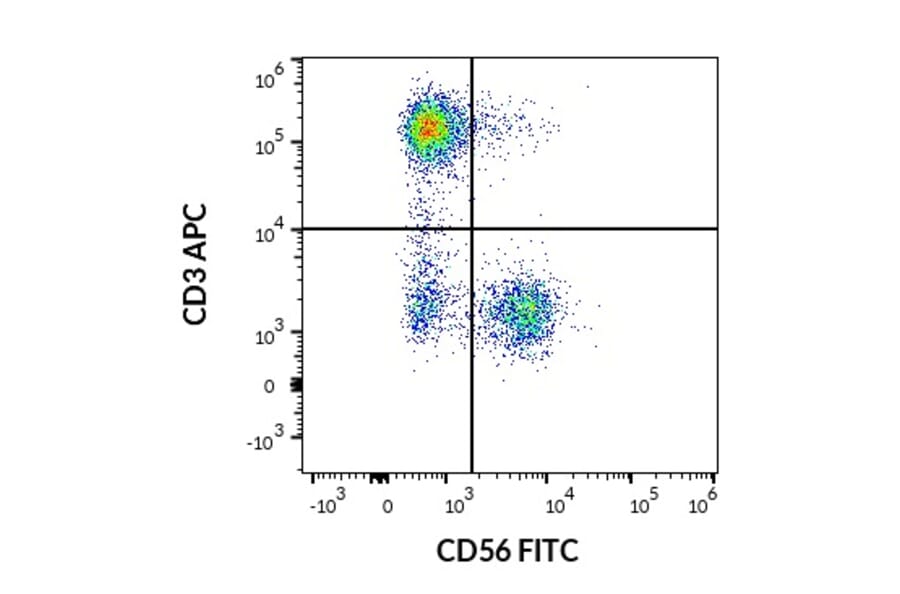 Flow Cytometry - Anti-NCAM1 Antibody [LT56] (FITC) (A86432)