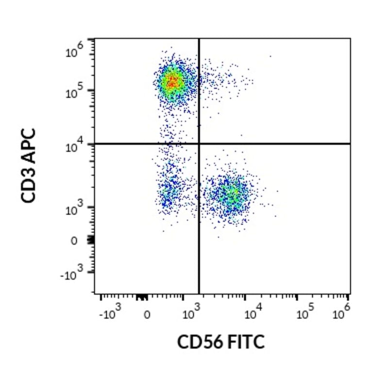 Flow Cytometry - Anti-NCAM1 Antibody [LT56] (FITC) (A86432)
