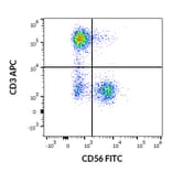Flow Cytometry - Anti-NCAM1 Antibody [LT56] (FITC) (A86432)