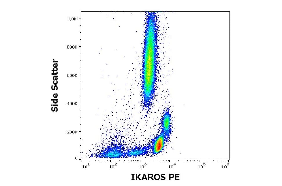 Flow Cytometry - Anti-Ikaros Antibody [4E9] (PE) (A86433)
