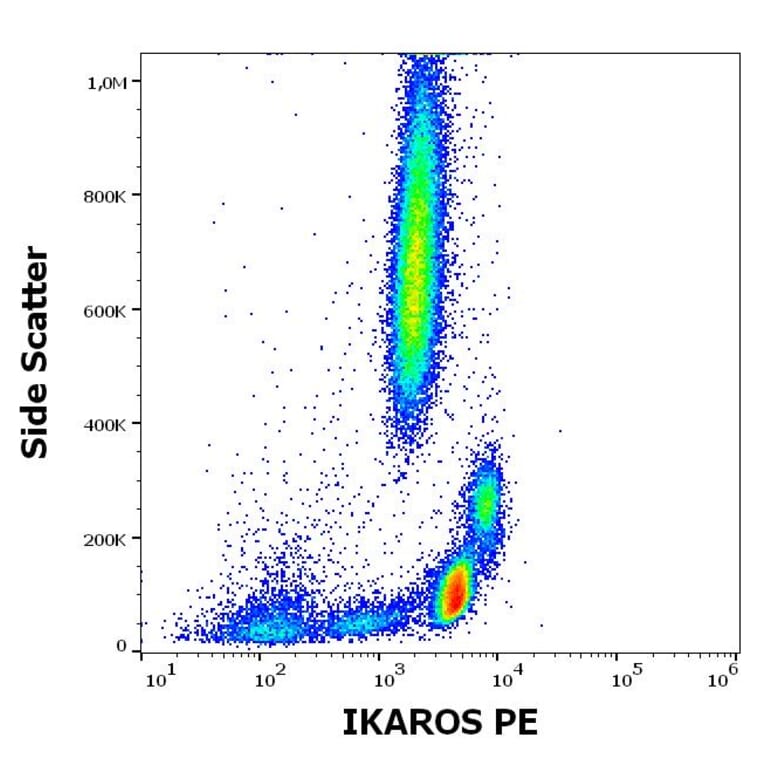 Flow Cytometry - Anti-Ikaros Antibody [4E9] (PE) (A86433)