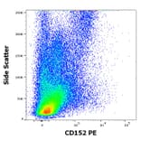 Flow Cytometry - Anti-CTLA4 Antibody [BNI3] (PE) (A86434)