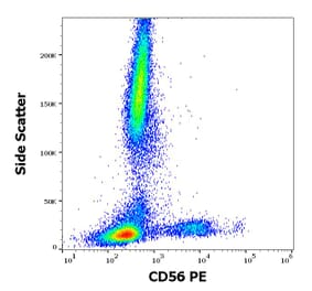 Flow Cytometry - Anti-NCAM1 Antibody [LT56] (PE) (A86435)