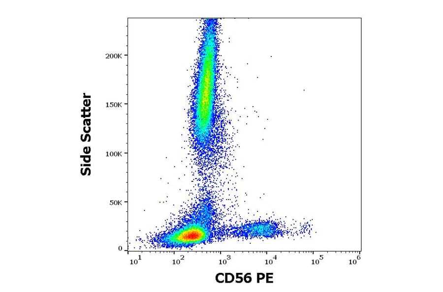 Flow Cytometry - Anti-NCAM1 Antibody [LT56] (PE) (A86435)