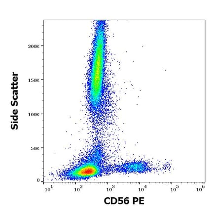 Flow Cytometry - Anti-NCAM1 Antibody [LT56] (PE) (A86435)