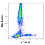 Flow Cytometry - Anti-NCAM1 Antibody [LT56] (PE) (A86435)
