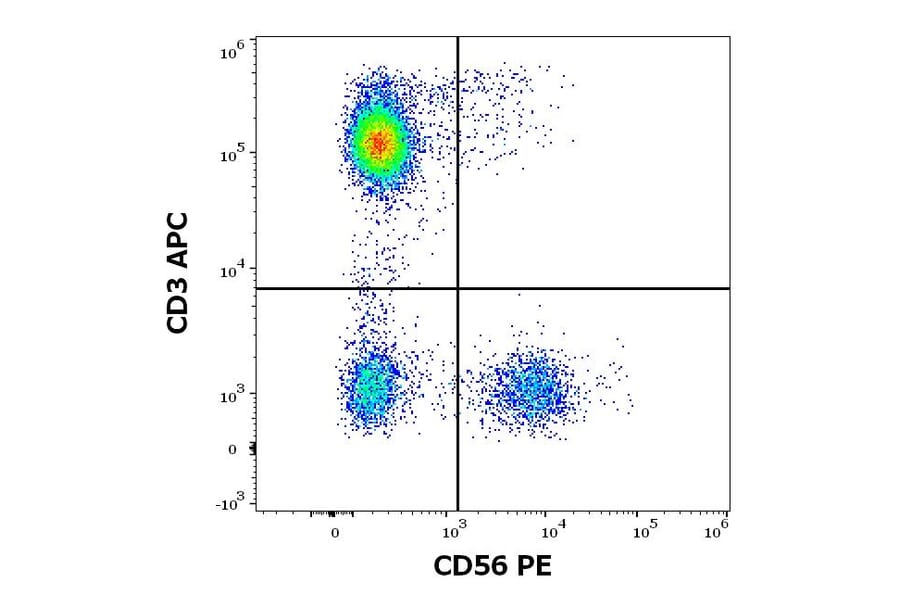 Flow Cytometry - Anti-NCAM1 Antibody [LT56] (PE) (A86435)