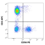 Flow Cytometry - Anti-NCAM1 Antibody [LT56] (PE) (A86435)