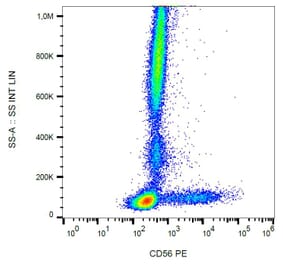 Flow Cytometry - Anti-CD56 Antibody [LT56] (PE) (A86434) - Antibodies.com