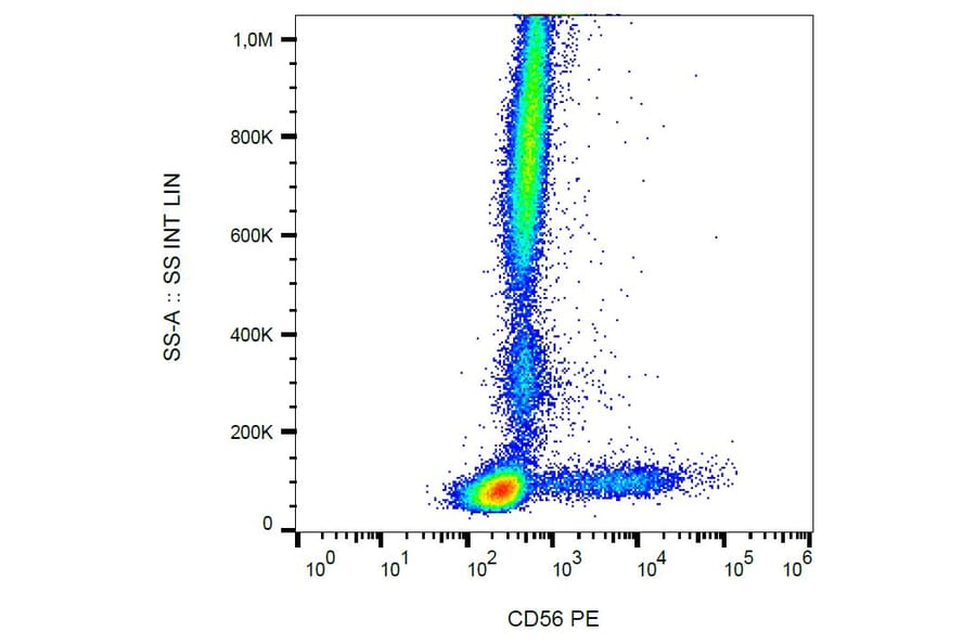 Flow Cytometry - Anti-CD56 Antibody [LT56] (PE) (A86434) - Antibodies.com