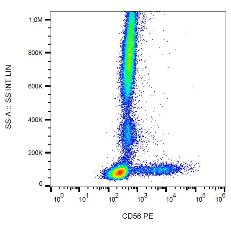 Flow Cytometry - Anti-CD56 Antibody [LT56] (PE) (A86434) - Antibodies.com