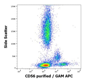 Flow Cytometry - Anti-NCAM1 Antibody [LT56] (A86439)
