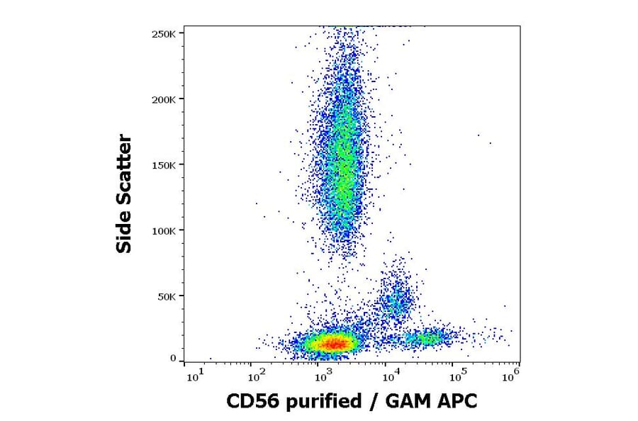 Flow Cytometry - Anti-NCAM1 Antibody [LT56] (A86439)