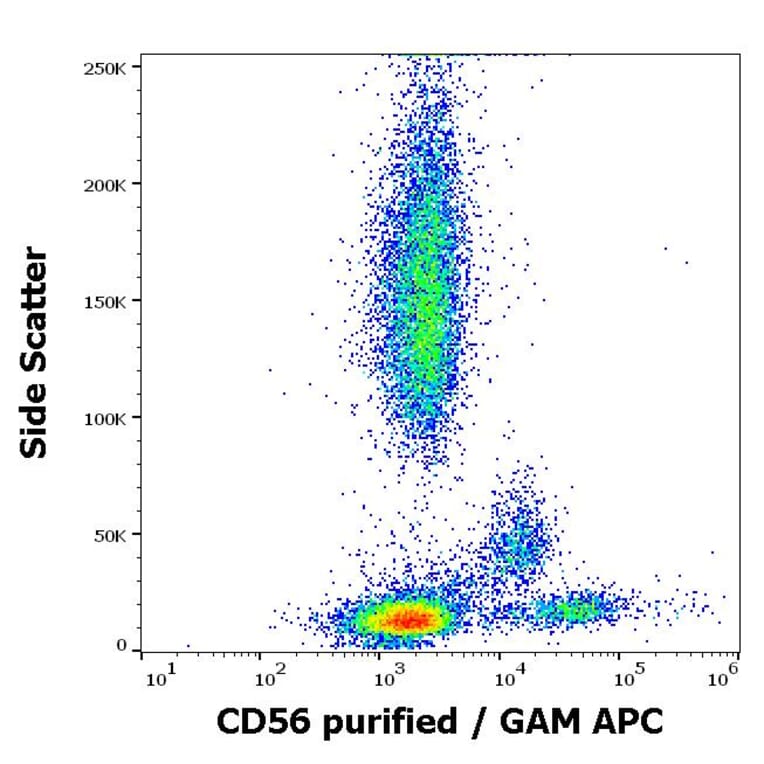 Flow Cytometry - Anti-NCAM1 Antibody [LT56] (A86439)