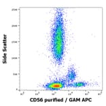 Flow Cytometry - Anti-NCAM1 Antibody [LT56] (A86439)