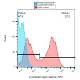 Flow Cytometry - Anti-pan Cytokeratin Antibody [C-11] (APC) (A86435) - Antibodies.com