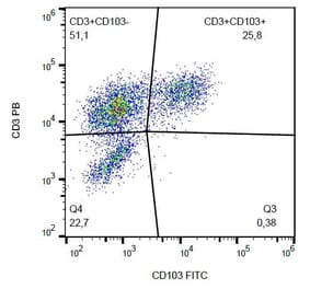 Flow Cytometry - Anti-CD103 Antibody [Ber-ACT8] (FITC) (A86442) - Antibodies.com