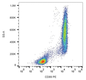 Flow Cytometry - Anti-CD89 Antibody [A59] (PE) (A86445)