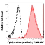 Flow Cytometry - Anti-pan Cytokeratin Antibody [C-11] (A86447)