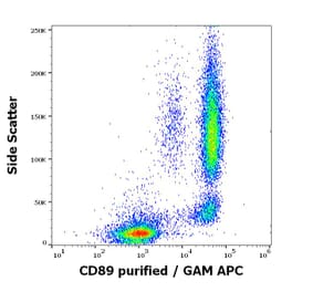 Flow Cytometry - Anti-CD89 Antibody [A59] (A86448)