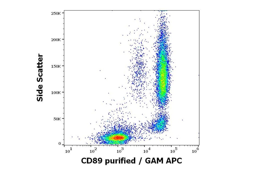 Flow Cytometry - Anti-CD89 Antibody [A59] (A86448)