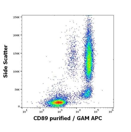 Flow Cytometry - Anti-CD89 Antibody [A59] (A86448)