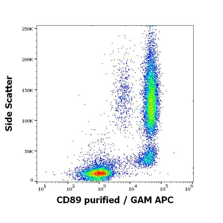 Flow Cytometry - Anti-CD89 Antibody [A59] (A86448)