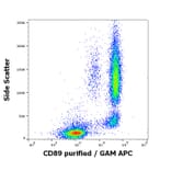 Flow Cytometry - Anti-CD89 Antibody [A59] (A86448)