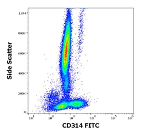 Flow Cytometry - Anti-NKG2D Antibody [1D11] (FITC) (A86454)