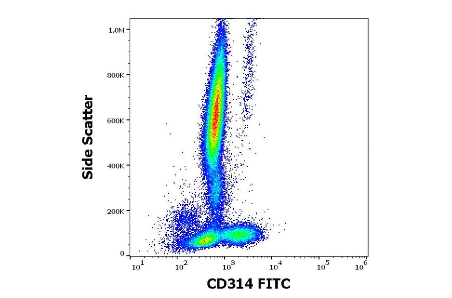 Flow Cytometry - Anti-NKG2D Antibody [1D11] (FITC) (A86454)