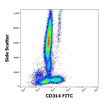 Flow Cytometry - Anti-NKG2D Antibody [1D11] (FITC) (A86454)