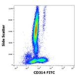 Flow Cytometry - Anti-NKG2D Antibody [1D11] (FITC) (A86454)