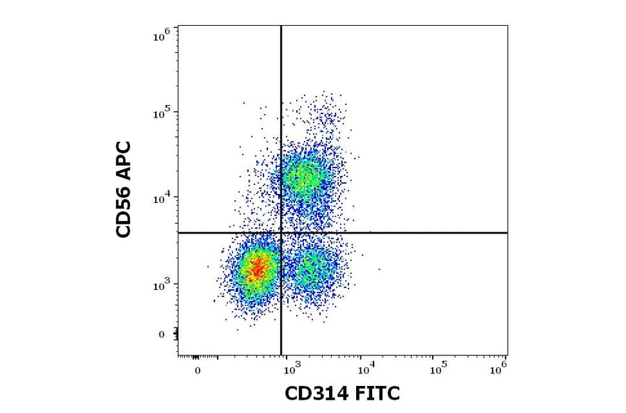 Flow Cytometry - Anti-NKG2D Antibody [1D11] (FITC) (A86454)