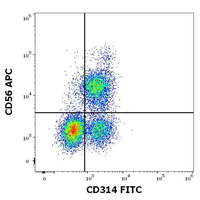 Flow Cytometry - Anti-NKG2D Antibody [1D11] (FITC) (A86454)