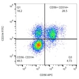 Flow Cytometry - Anti-NKG2D Antibody [1D11] (FITC) (A86453) - Antibodies.com