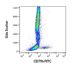 Flow Cytometry - Anti-CD79b Antibody [CB3-1] (FITC) (A86455)