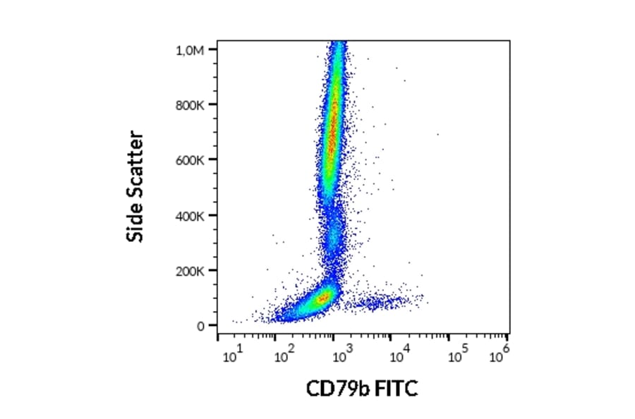Flow Cytometry - Anti-CD79b Antibody [CB3-1] (FITC) (A86455)