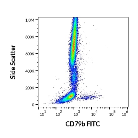 Flow Cytometry - Anti-CD79b Antibody [CB3-1] (FITC) (A86455)